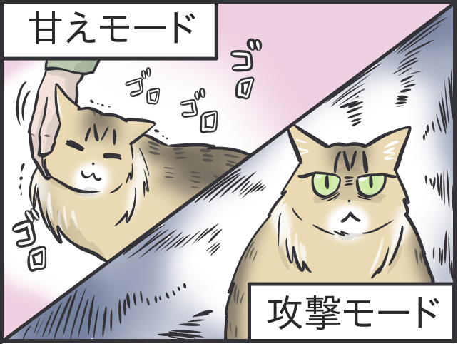 甘えモードと攻撃モードの落差よ...！いじらしくもツンデレな実家の猫のこと／フニャコ ツンデレマロと母2.PNG