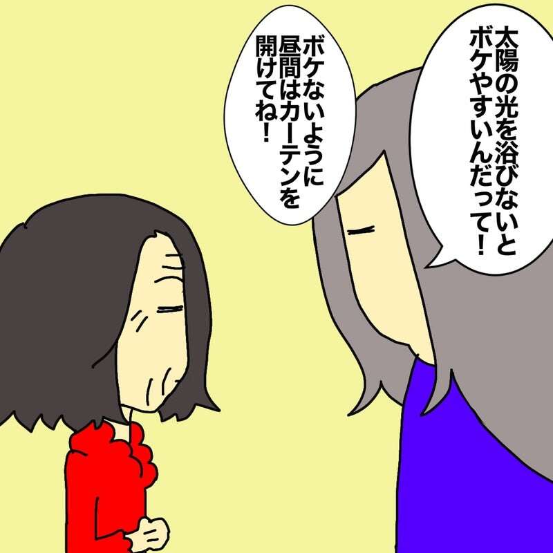 4階の部屋を覗かれている? 認知症の母が不安がるようになって.../ワフウフ image1.jpeg