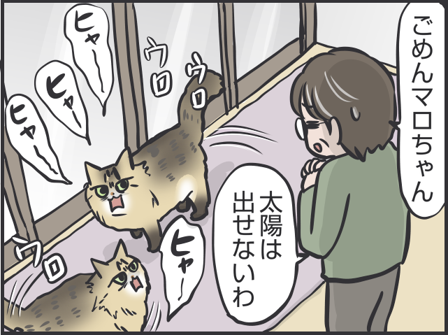 「猫はクール」と言われるけど...猫だって実は表情豊かだと思う理由／フニャコ 猫の表情7.PNG