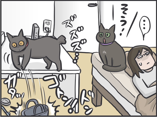 「超朝型」の猫たちが、飼い主にしかける「脅し」。猫と暮らすと嫌でも早起きになる理由／フニャコ