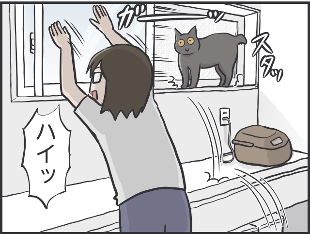 猫たちに一番愛情を注いでいるのは私なのに！夫と私への「扱いの格差」が納得いかない！／フニャコ 猫に甘えてもらえない私3.PNG