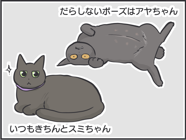 黒猫はみんな同じ顔!? 一緒に住む家族だからこそわかる「うちの子の見分け方」／フニャコ 黒猫の見分け6.PNG