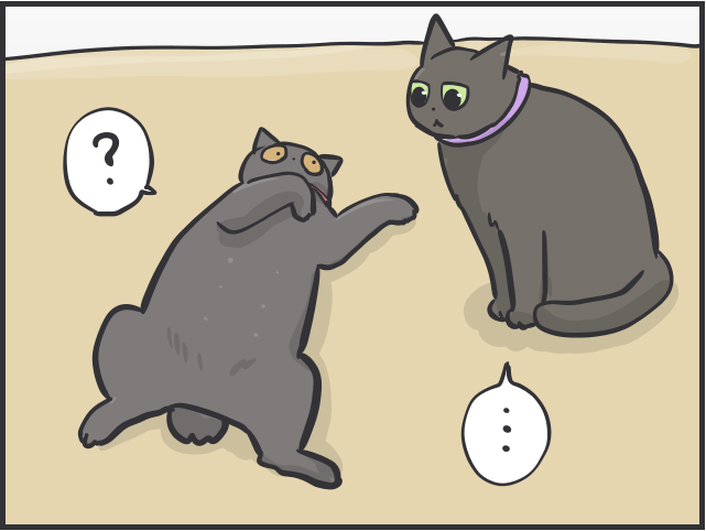 足腰の弱りは感じるけど...14歳のシニア猫の愛おしすぎる「変化」／フニャコ シニア猫2.PNG