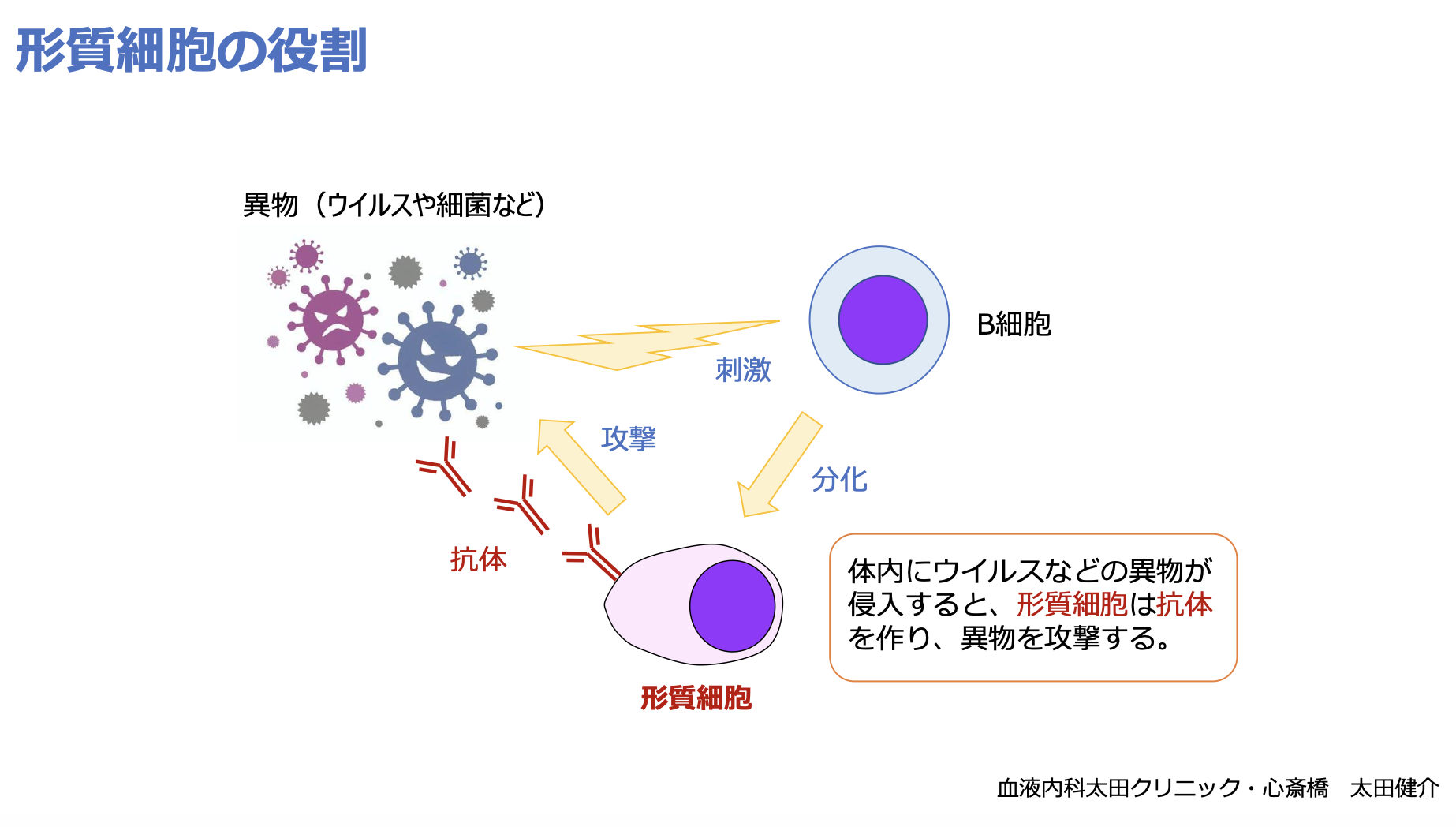 "支える"って、どういうこと？　血液がんの患者とケアラーが語り合う「これからのがんケア」 スクリーンショット 2025-11-13 20.42.39.png
