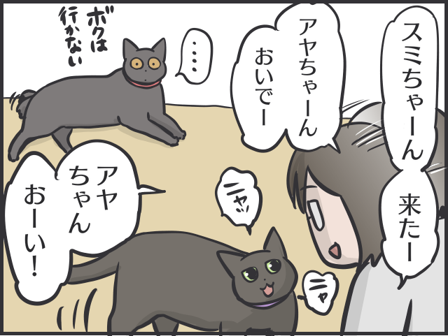 寄ってくるのはご飯の時だけ！塩対応すぎる猫たちに内心やきもきすることも／フニャコ 猫って本当に自由8.PNG