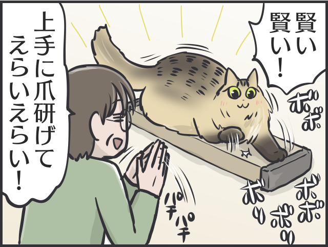 呆れるほどの猫バカっぷり！猫は一人暮らしの母の生活を豊かにしてくれる良き相棒／フニャコ 猫に親バカな母7.PNG