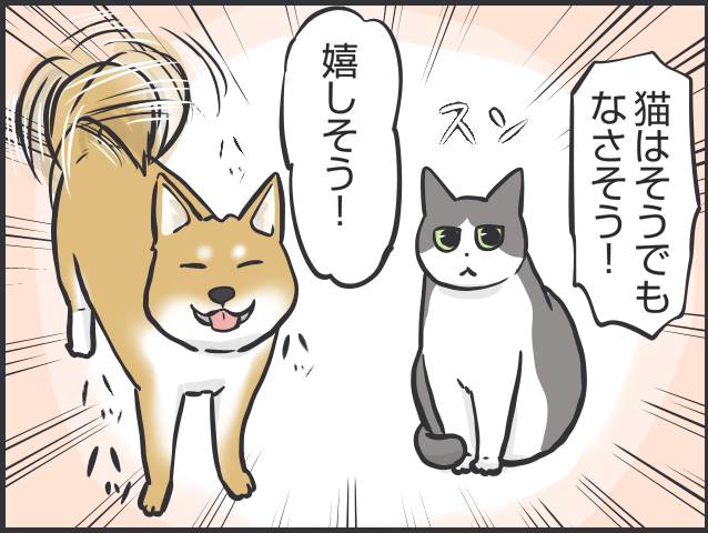 「猫はクール」と言われるけど...猫だって実は表情豊かだと思う理由／フニャコ 猫の表情1.PNG