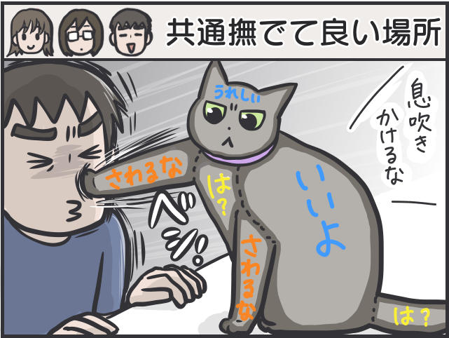 愛猫のお腹を撫でたいのに...娘に優しく、私に厳しい愛猫／フニャコ 触って良い場所7.PNG