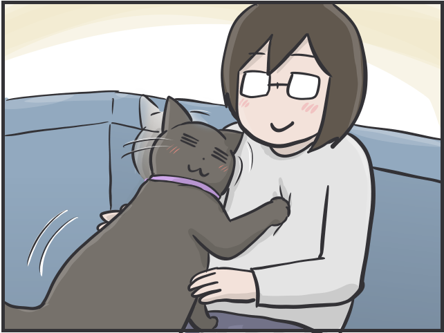 足腰の弱りは感じるけど...14歳のシニア猫の愛おしすぎる「変化」／フニャコ シニア猫8.PNG