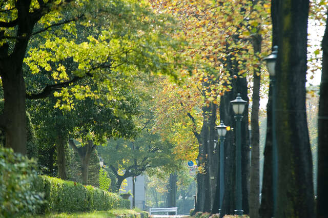 「聞こえづらさ」にさよなら！ヒアリングアシストイヤホン『MIMIO ASSIST ONE』を試してみた pixta_33139281_S.jpg