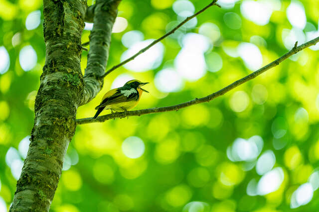 「聞こえづらさ」にさよなら！ヒアリングアシストイヤホン『MIMIO ASSIST ONE』を試してみた pixta_81476731_S.jpg