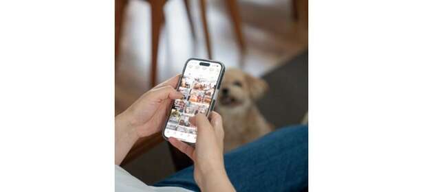 老後不安は「ひとり時間」と「ゆるいつながり」で解消できる！りさねーぜ流の秘訣 14572883_615.jpg