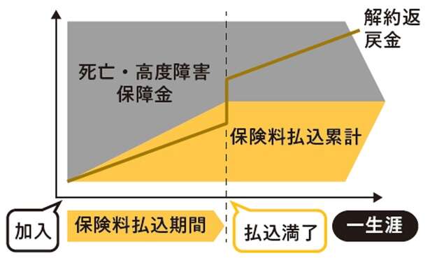 【FPの塚越菜々子さんが解説】「貯蓄型保険」を選ぶ際、ポイントは「保険で増やす理由」 14654336_615.jpg