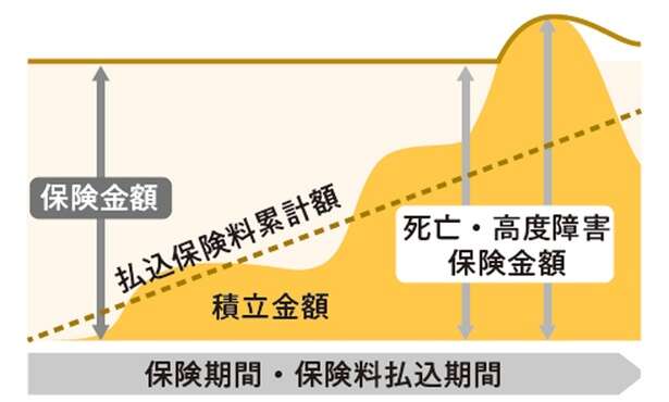 【FPの塚越菜々子さんが解説】「貯蓄型保険」を選ぶ際、ポイントは「保険で増やす理由」 14654338_615.jpg