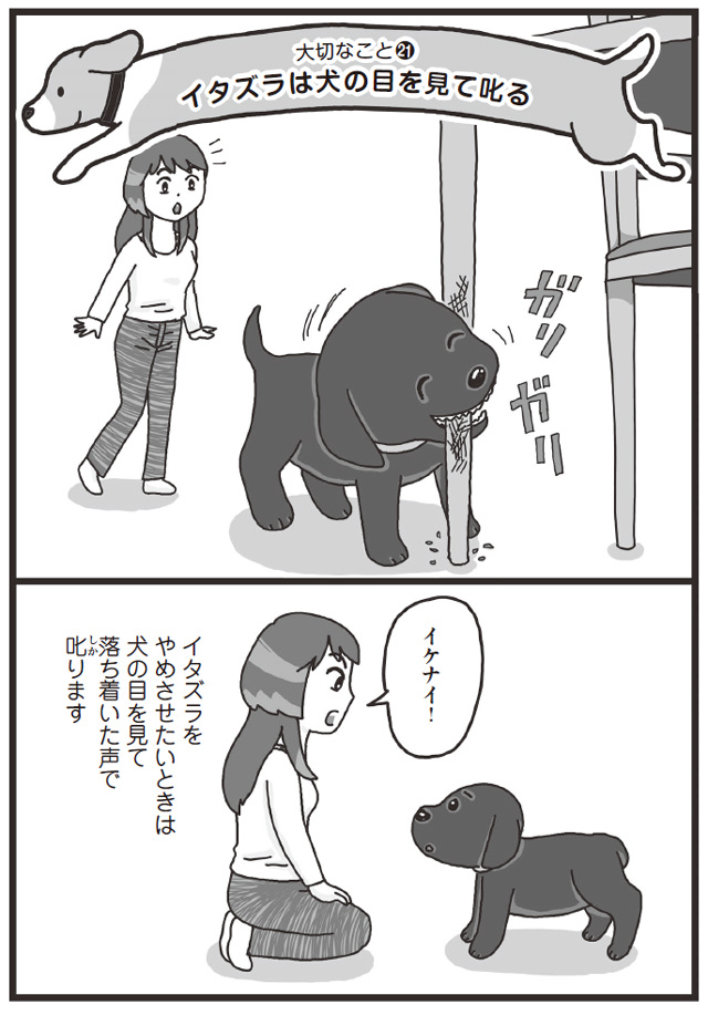 犬がNGポイントを理解したら褒めてあげる／まんがでわかる犬のホンネ 犬はあなたにこう言ってます inuga-002-130.jpg
