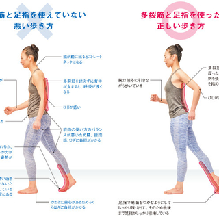 あなたの歩き方は大丈夫 体の痛みをなくせる正しい歩行方法 毎日が発見ネット