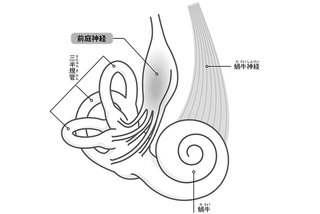 「めまい」「ふらつき」に悩む人は日本で約300万人...。「起きやすい年齢」「ストレス関与別」で疾患を紹介