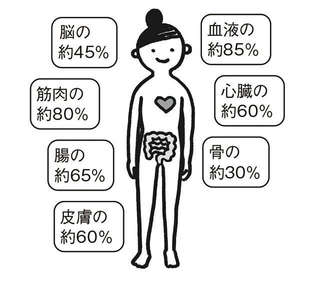 中高年の健康に重要な「たんぱく質」。フレイル予防にも必要なたんぱく質摂取のポイント