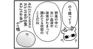 「がんの可能性もあるけど」。右卵巣に6センチの「のう腫」が...！／元気になるシカ！ 