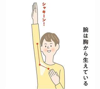 肩こり改善！腕を胸から使えば肩の筋肉がやわらかくなる【イラストを見れば体が整う】