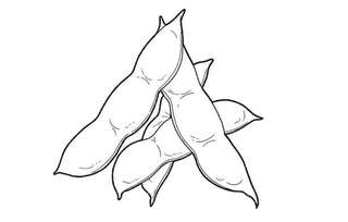 【貧血を卒業】鉄分補給に「枝豆」を料理に取り入れよう！調理のポイントも紹介