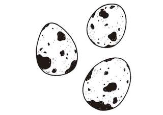 【栄養カウンセラーが伝授】「鉄不足」対策に栄養価が高い「うずら卵」。意外なレシピ！