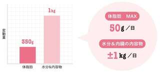 「本当に体脂肪が落ちたか」を知る方法。体重の数字に一喜一憂しないで【体脂肪専門家くどう氏が解説】