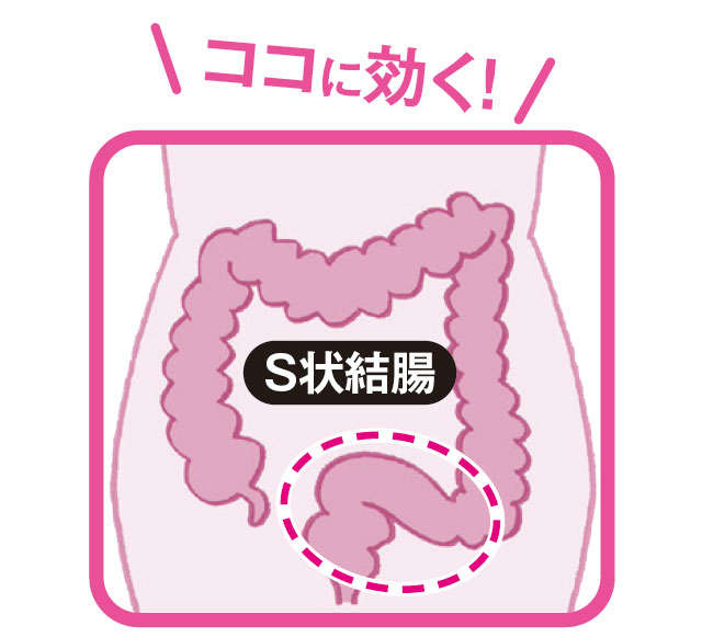 【便秘外来医が紹介】ゆらすことで腸の力をサポート！「Ｓ状結腸」の流れをよくするマッサージ 06001.jpg