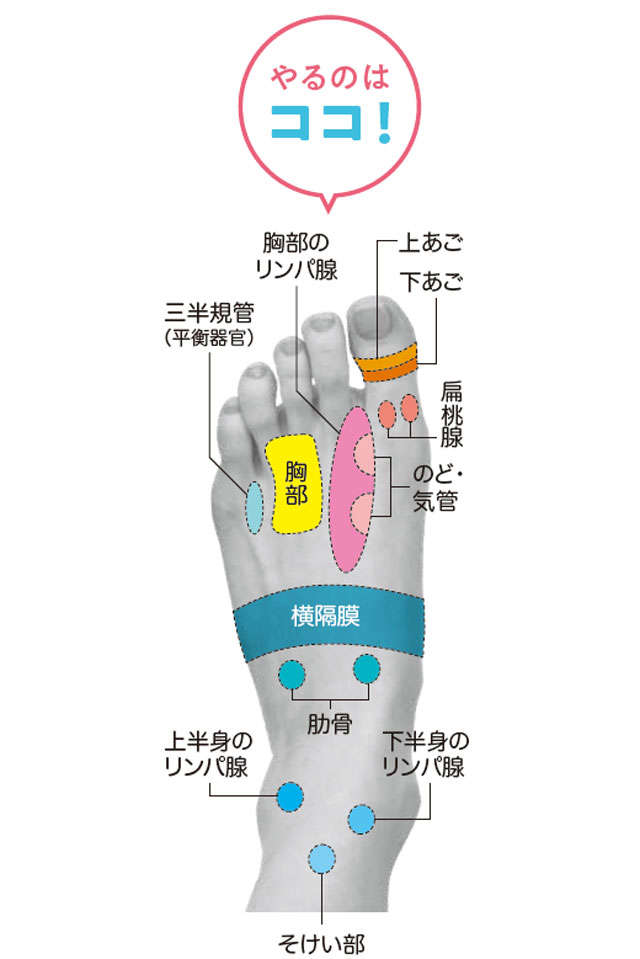 夕方のむくみがラクになる「かかとスリスリ」は、毎日30秒やるだけでOK【足裏の専門家が伝授】 0804.jpg