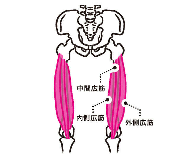 【ひざ痛の原因と対策】「絆創膏」でインナーマッスルにアプローチ！ 0902.jpg