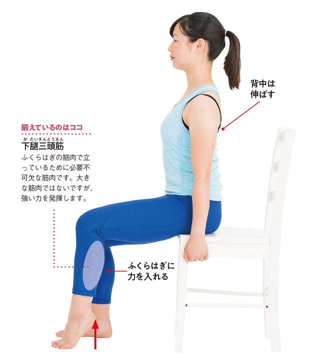 いすに座ってできる「かかとあげ」だけで、ふくらはぎの筋肉が元気になる！／筋肉貯金 1808p109_02.jpg
