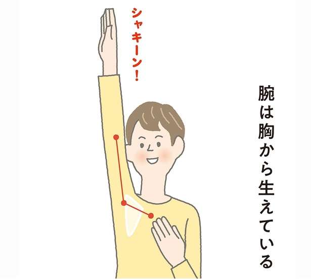 肩こり改善！腕を胸から使えば肩の筋肉がやわらかくなる【イラストを見れば体が整う】 12639931_615.jpg