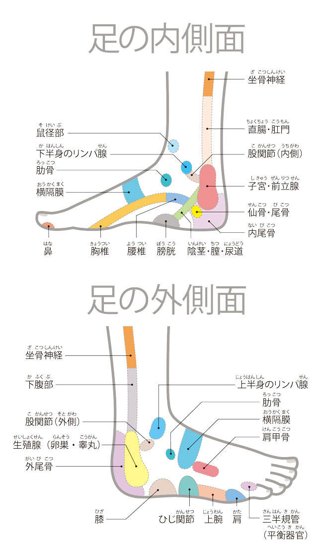 【足裏の専門家が伝授】ここを押して痛いと要注意！足全体のゾーンマップ 1001.jpg