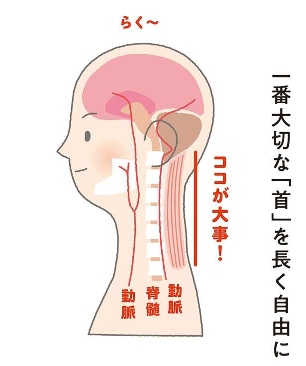 自律神経の乱れや血圧の上昇につながる可能性あり。全身の緊張をとるために大切な「体の部位」 12633042_615.jpg