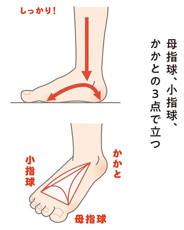 足の疲れとむくみ改善！疲れずに立っていられる方法【イラストを見れば体が整う】 12639949_615.jpg