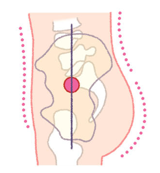 あなたは大丈夫？ 日本人女性の90％以上が当てはまる、骨盤後傾って何？ 1302.jpg
