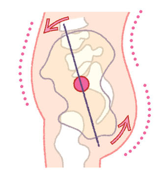 あなたは大丈夫？ 日本人女性の90％以上が当てはまる、骨盤後傾って何？ 1305.jpg