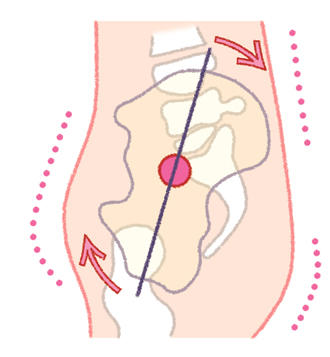 あなたは大丈夫？ 日本人女性の90％以上が当てはまる、骨盤後傾って何？ 1308.jpg