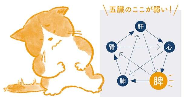 胃の痛みには2種類の原因が！疲れた胃腸を助けるためのツボをご紹介 13174300_615.jpg