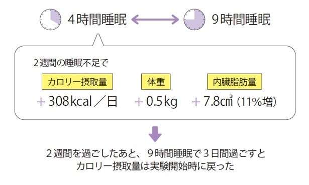 不足するとメタボになりやすい。ダイエットで見落とされがちな重要なポイント 13532659_615.jpg