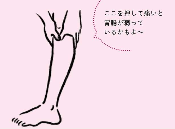 足のむくみや胃腸の不調に効果的な、膝下にある「最強のツボ」【鍼灸師が伝授】 13588703_615.jpg