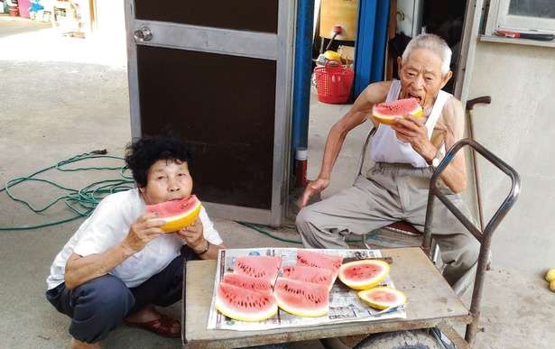 SNS総フォロワー数が65万人超えのおばあちゃん。亡くなった夫が涙した誕生日の思い出 13821912_615.jpg