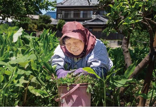 夫の遺影に声をかけるのが日課。80代のおばあちゃんがSNSの人気者になった理由 13821916_615.jpg