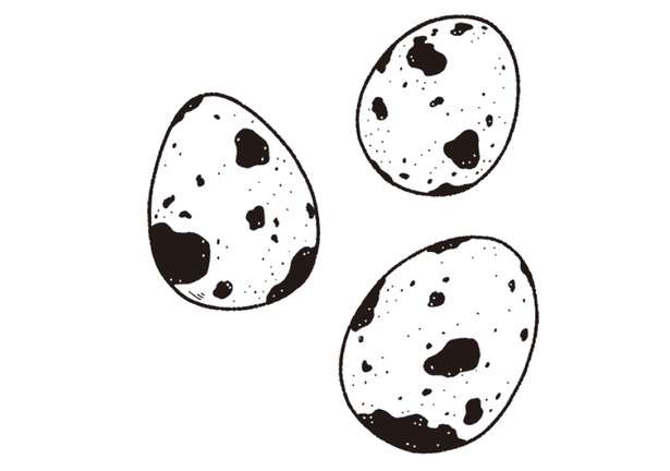 【栄養カウンセラーが伝授】「鉄不足」対策に栄養価が高い「うずら卵」。意外なレシピ！
