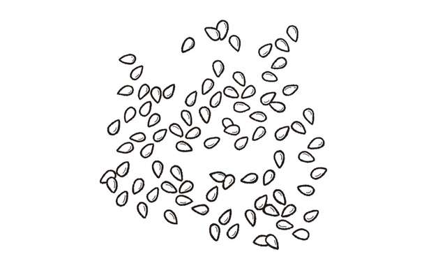 【鉄分補給に】「ごま」で鉄分をちょい足し！白・黒を常備して使い分けるのがおすすめ