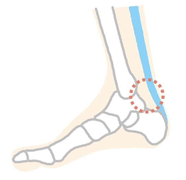 「足首」がかたいと、ひざや股関節の痛みや腰痛につながることも。ほぐすための1日1分ケア 14452789_615.jpg