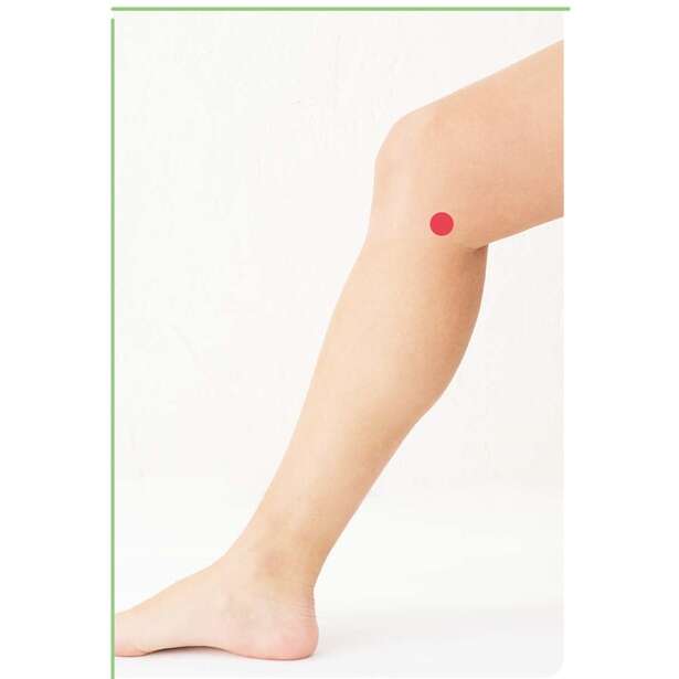 【1日1分】太もものむくみを解消！「脚痩せ」に効くツボ押しでスッキリ美脚 14709851_615.jpg