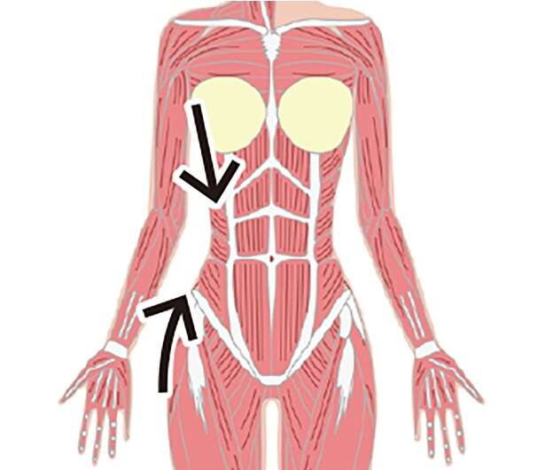 脇腹のハミ肉とくびれに効果あり! カラダの側面を縮めるだけの簡単「美くびれケア」 14795899_615.jpg
