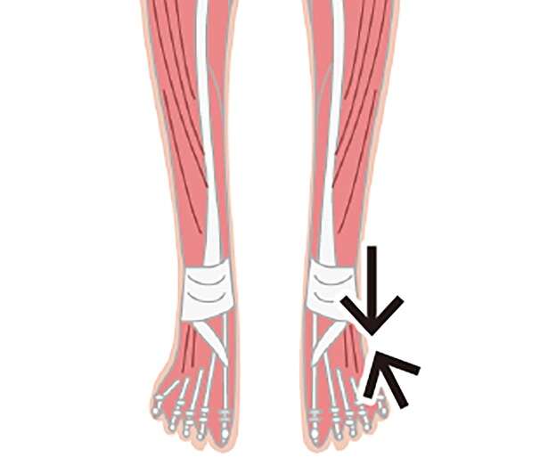 むくみ・だるさを解消！ 足首は回さず「押してゆるめる」新常識の美脚ケア 14795936_615.jpg