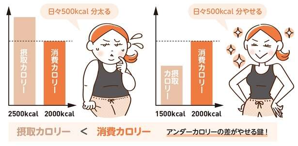40代以上が陥りがちな「ダイエットの落とし穴」。やせる体質になるために必要なこと 14900778_615.jpg